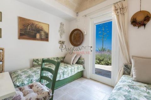 Landejendom i Ostuni, Brindisi, Ostuni - € 11.111.111 | Ref: 349 - foto 20