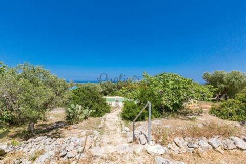Landejendom i Ostuni, Brindisi, Ostuni - € 11.111.111 | Ref: 349 - foto 10