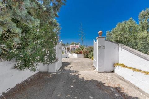Landejendom i Ostuni, Brindisi, Ostuni - € 11.111.111 | Ref: 349 - foto 41