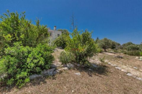 Landejendom i Ostuni, Brindisi, Ostuni - € 11.111.111 | Ref: 349 - foto 9
