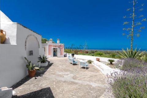 Landejendom i Ostuni, Brindisi, Ostuni - € 11.111.111 | Ref: 349 - foto 7