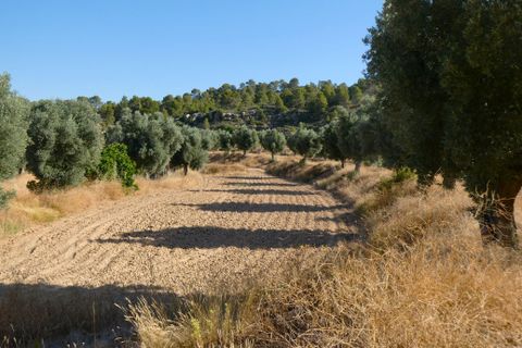 Finca i Mazaleon, Teruel, Mazaleon - € 16.000 | Ref: 1072 - foto 22