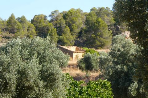 Finca i Mazaleon, Teruel, Mazaleon - € 16.000 | Ref: 1072 - foto 21