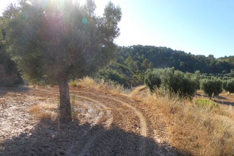 Finca i Mazaleon, Teruel, Mazaleon - € 16.000 | Ref: 1072 - foto 6