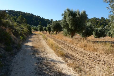 Finca i Mazaleon, Teruel, Mazaleon - € 16.000 | Ref: 1072 - foto 16