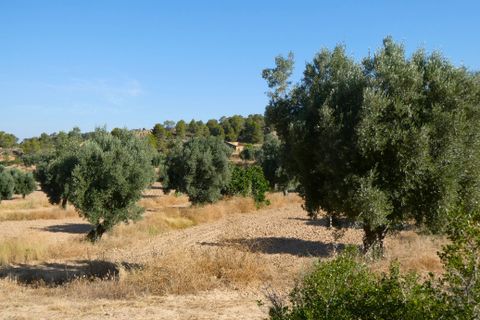 Finca i Mazaleon, Teruel, Mazaleon - € 16.000 | Ref: 1072 - foto 20