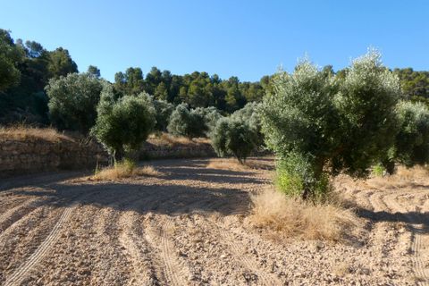 Finca i Mazaleon, Teruel, Mazaleon - € 16.000 | Ref: 1072 - foto 17