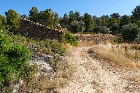 Finca i Mazaleon, Teruel, Mazaleon - € 16.000 | Ref: 1072 - foto 10