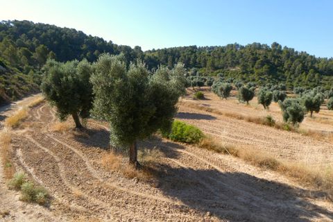 Finca i Mazaleon, Teruel, Mazaleon - € 16.000 | Ref: 1072 - foto 25