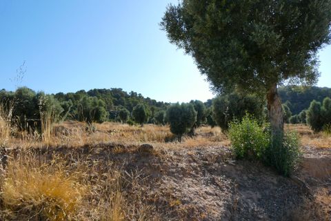 Finca i Mazaleon, Teruel, Mazaleon - € 16.000 | Ref: 1072 - foto 24