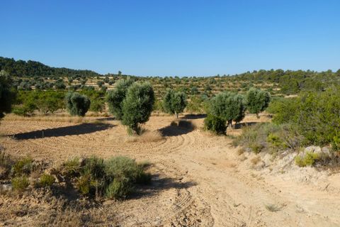 Finca i Mazaleon, Teruel, Mazaleon - € 16.000 | Ref: 1072 - foto 9
