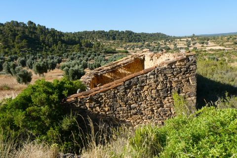 Finca i Mazaleon, Teruel, Mazaleon - € 16.000 | Ref: 1072 - foto 7
