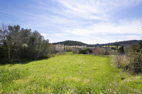Landejendom i Foixa, Gerona, Foixa - € 750.000 | Ref: V-COSTABRAVA-21 - foto 41