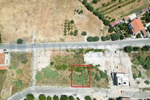 Helårsgrund i Alenquer, Lisbon, Alenquer - € 94.000 | Ref: 135/25 - foto 3