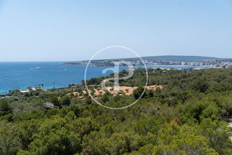 Terra a Calvia, Mallorca, Calvia - € 3.150.000 | Ref: VPM2506013 - foto 8