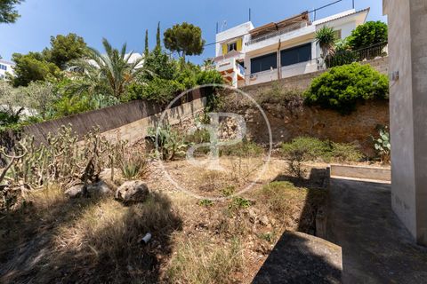 Terra a Calvia, Mallorca, Calvia - € 3.150.000 | Ref: VPM2506013 - foto 20