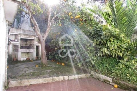 Farm hus i Caminha, Viana do Castelo, Caminha - € 990.000 | Ref: 401/Q/00230 - foto 3