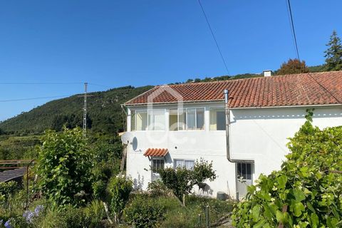 Villa i Caminha, Viana do Castelo, Caminha - € 450.000 | Ref: 401/M/00231 - foto 18