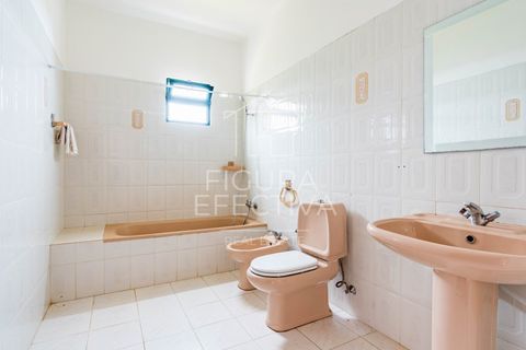 Byhus i Calheta, Madeira, Calheta - € 350.000 | Ref: APA_219 - foto 14
