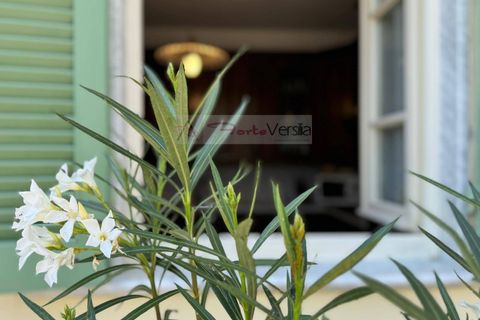 Villa i Seravezza, Lucca, Seravezza - € 435.000 | Ref: 2669 - foto 20