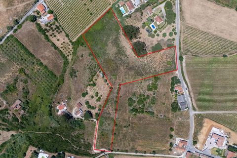 Helårsgrund i Alenquer, Lisbon, Alenquer - € 89.000 | Ref: C0479-00041 - foto 2