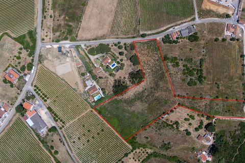 Helårsgrund i Alenquer, Lisbon, Alenquer - € 89.000 | Ref: C0479-00041 - foto 4