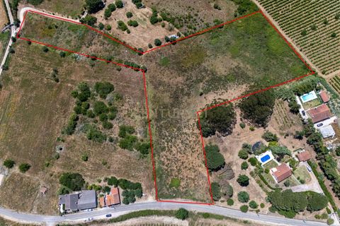 Helårsgrund i Alenquer, Lisbon, Alenquer - € 89.000 | Ref: C0479-00041 - foto 5