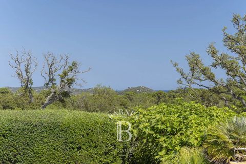 Villa a Porto-Vecchio, Corse-du-Sud, Porto-Vecchio - € 1.450.000 | Ref: RV1909 - foto 16