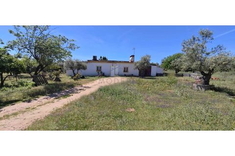 Farm i Alter do Chao, Portalegre, Alter do Chao - € 200.000 | Ref: FIN_4 - foto 1