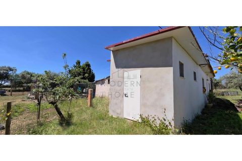 Farm i Alter do Chao, Portalegre, Alter do Chao - € 200.000 | Ref: FIN_4 - foto 3
