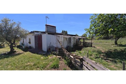 Farm i Alter do Chao, Portalegre, Alter do Chao - € 200.000 | Ref: FIN_4 - foto 6