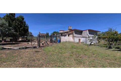 Farm i Alter do Chao, Portalegre, Alter do Chao - € 200.000 | Ref: FIN_4 - foto 14