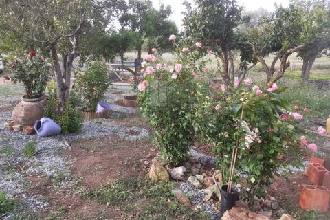 Farm i Alter do Chao, Portalegre, Alter do Chao - € 200.000 | Ref: FIN_4 - foto 5