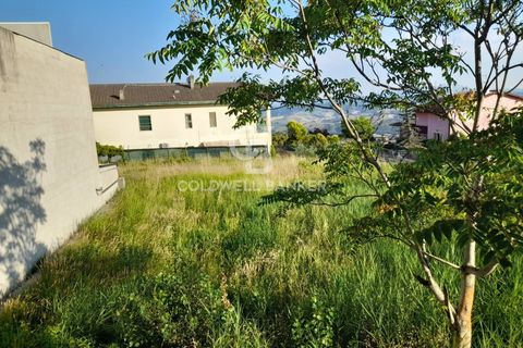 Tomt i Tavoleto, Pesaro and Urbino, Tavoleto - € 50 000 | Ref: CBI099-1528-520687 - foto 11