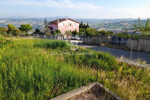 Tomt i Tavoleto, Pesaro and Urbino, Tavoleto - € 50 000 | Ref: CBI099-1528-520687 - foto 13