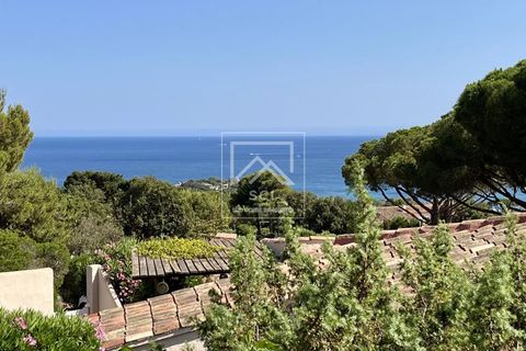 Lejlighed i Porto-Vecchio, Corse-du-Sud, Porto-Vecchio - € 425.000 | Ref: 86071731 - foto 7