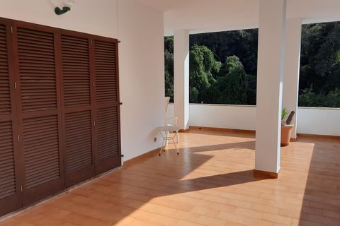 Villa i Cala Sant Vicenc (Pollenca), Mallorca, Cala Sant Vicenc (Pollenca) - € 750.000 | Ref: FALC-DiYe-69691 - foto 13