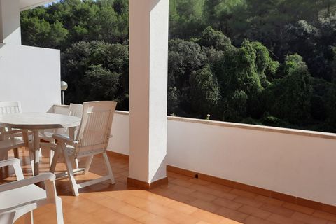 Villa i Cala Sant Vicenc (Pollenca), Mallorca, Cala Sant Vicenc (Pollenca) - € 750.000 | Ref: FALC-DiYe-69691 - foto 15