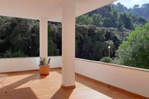 Villa i Cala Sant Vicenc (Pollenca), Mallorca, Cala Sant Vicenc (Pollenca) - € 750.000 | Ref: FALC-DiYe-69691 - foto 16