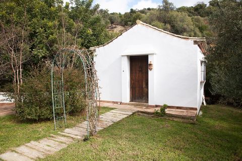 Herregård i Gaucin, Malaga, Gaucin - € 990 000 | Ref: R4186003 - foto 9