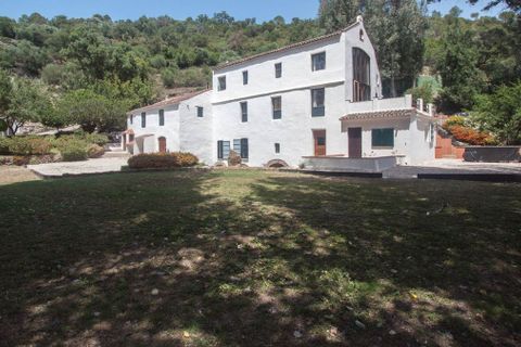 Herregård i Gaucin, Malaga, Gaucin - € 850 000 | Ref: R4760824 - foto 39