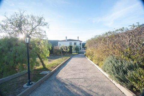 Landejendom i Estepona, Malaga - foto 4