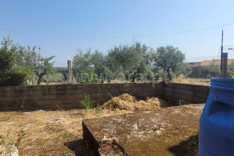 Villa i Fundao, Castelo Branco, Fundao - € 72.500 | Ref: 255250103 - foto 12