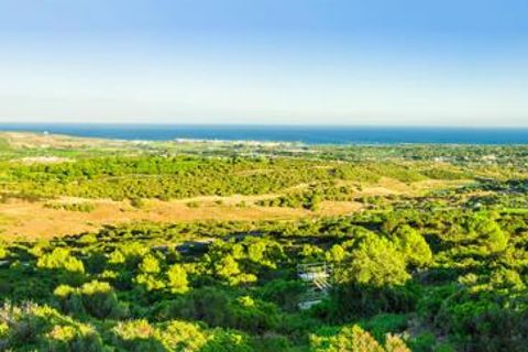 Helårsgrund i Sotogrande, Cadiz, Sotogrande - € 8.000.000 | Ref: PSA007 - foto 4