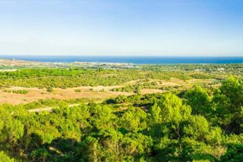 Helårsgrund i Sotogrande, Cadiz, Sotogrande - € 8.000.000 | Ref: PSA007 - foto 6