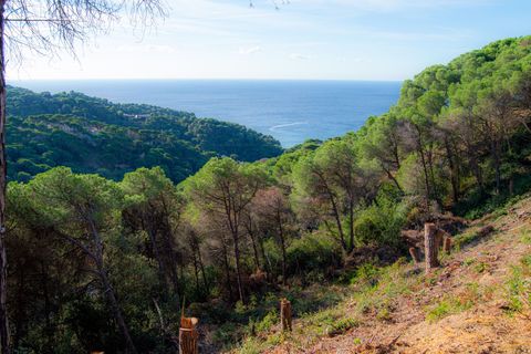 Tomt i Lloret De Mar, Gerona, Lloret De Mar - € 139 000 | Ref: 2423 - foto 10