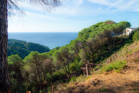 Tomt i Lloret De Mar, Gerona, Lloret De Mar - € 139 000 | Ref: 2423 - foto 11