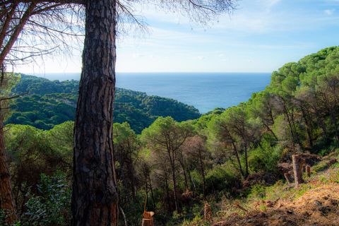 Tomt i Lloret De Mar, Gerona, Lloret De Mar - € 99 000 | Ref: 2426 - foto 9