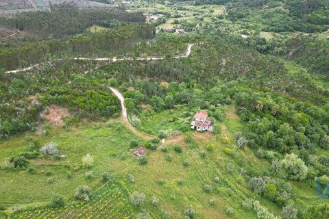 Byhus i Penela, Coimbra, Penela - € 80.000 | Ref: 144871 - foto 2
