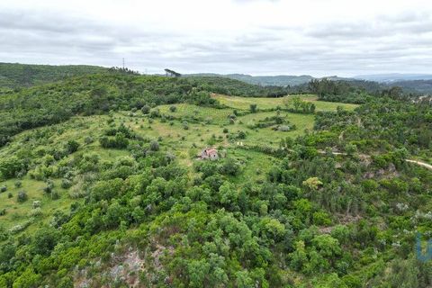 Byhus i Penela, Coimbra, Penela - € 80.000 | Ref: 144871 - foto 9